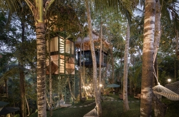 THE LIFT TREETOP BOUTIQUE HOTEL - KHÁCH SẠN TRÊN CÂY ĐỘ - LUFA - Nội thất cao cấp (Website chính thức của Công ty cổ phần Nội thất FAMI)